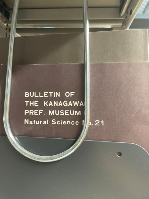 WhatsApp Image 2025-03-06 at 21.47.39.jpeg